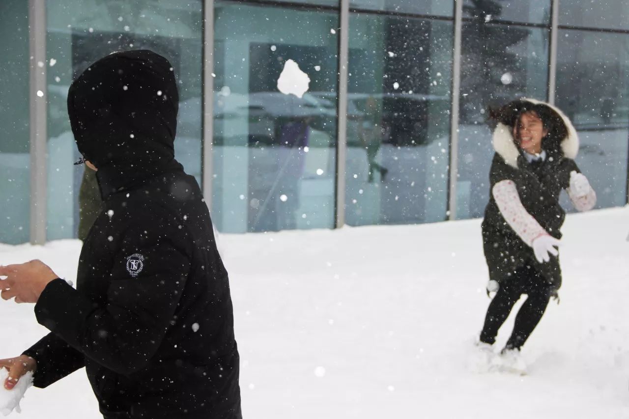 k8凯发(中国)天生赢家·一触即发